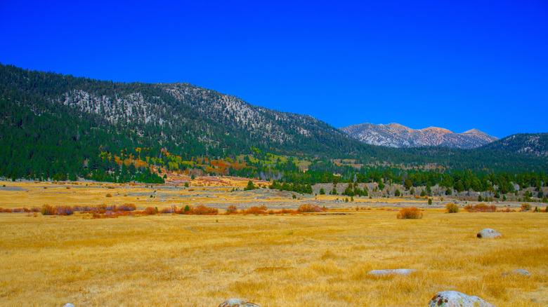 Mountains with fall foliage and blue sky