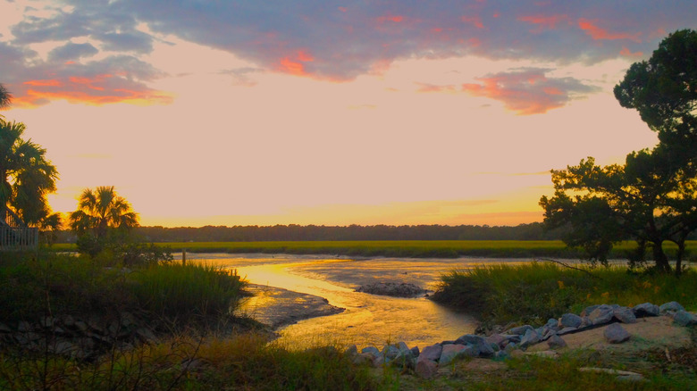 Trees and stream at sunset in Edisto Beach State Park