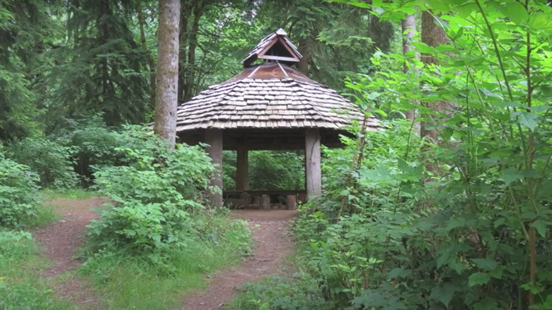 a round open wooden shelter in amongst woodland