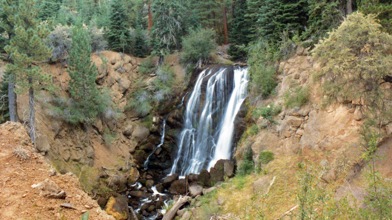 A cascading waterfall in the forest