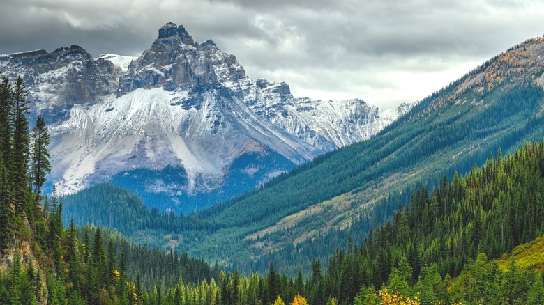 glacier-covered mountain in Yoho National Park