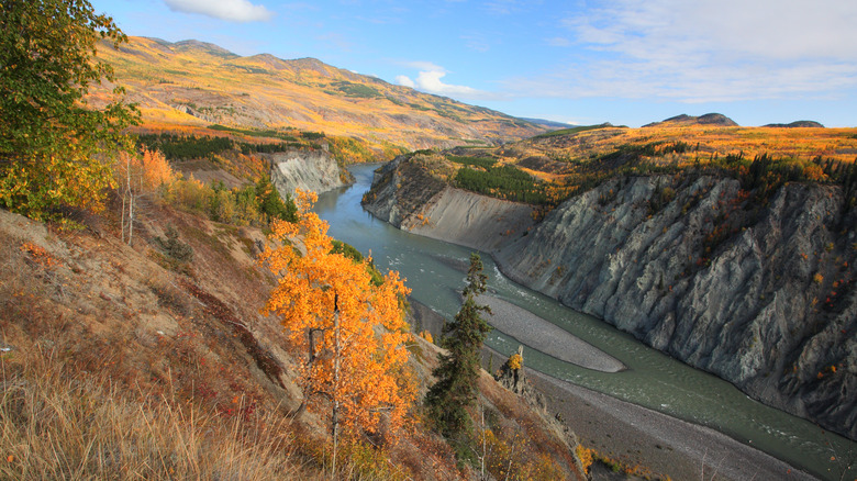 Steep cliffs of a ravine with a river at the bottom, covered in autumn foliage