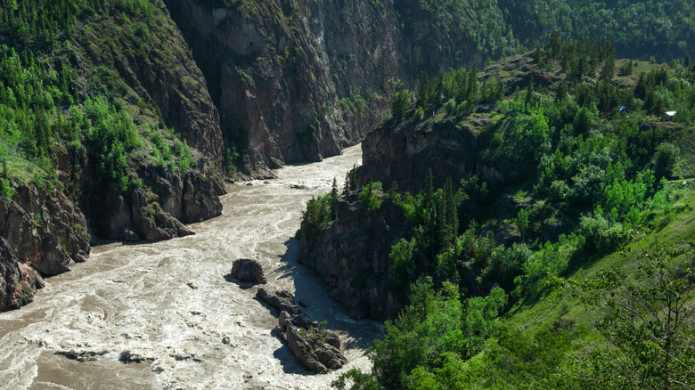 Whitewater rapids in the Grand Canyon of Stikine river, with cliffs covered in greenery