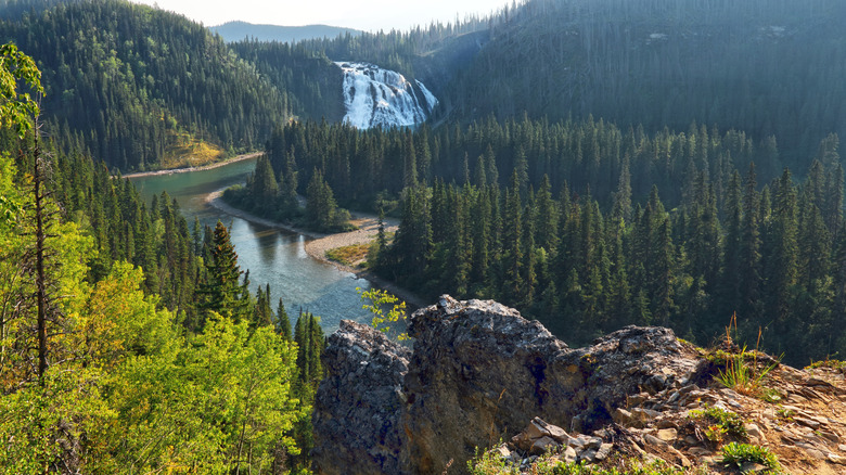 Pine forests surrounding a river with a large waterfall in the background.