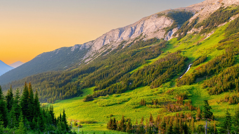 Mountains, alpine meadows, and forests on slopes in summertime.