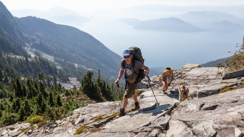 Man, woman and dog hiking the Howe Sound Trail on a bright summer dayy