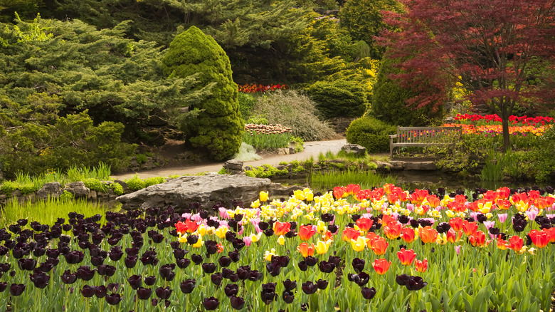 Flowers at the Royal Botanical Gardens