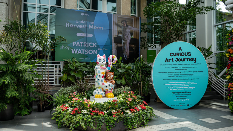 Flowers around a cat statue and signs for events at the Royal Botanical Gardens