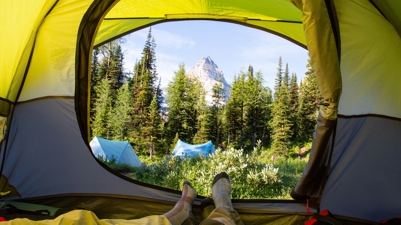 mountain views from a camping tent