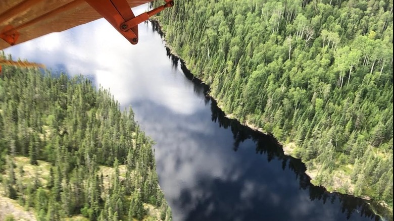 Wabakimi Provincial Park as seen from a float plane