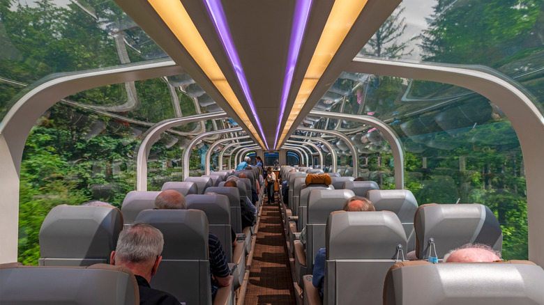 Passengers take in forest views on the Rocky Mountaineer train