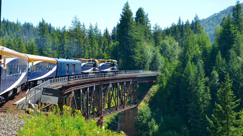 The Rocky Mountaineer train chugs through evergreen forest