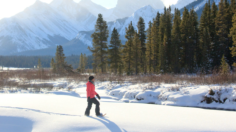 A caucasian woman in her early 40s snowshoeing in the Canadian Rockies