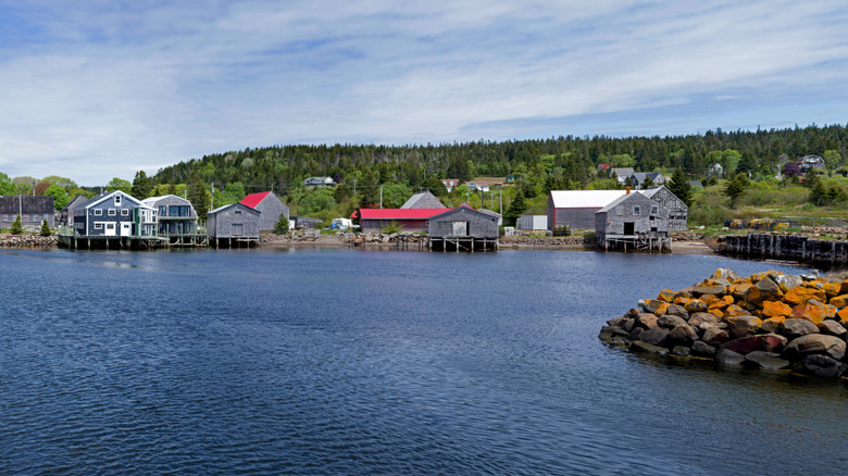 Red-roofed sheds and harbor homes along the water in Seal Cove, Grand Manan Island, New Brunswick, Canada