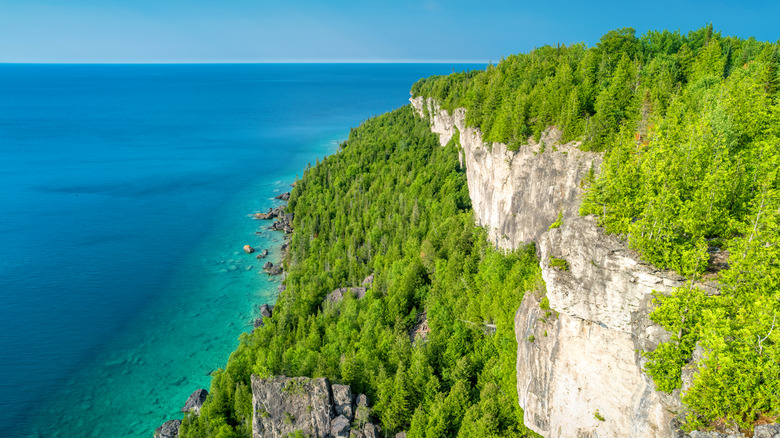 A huge cliff over the water with trees on top overlooking Lake Huron