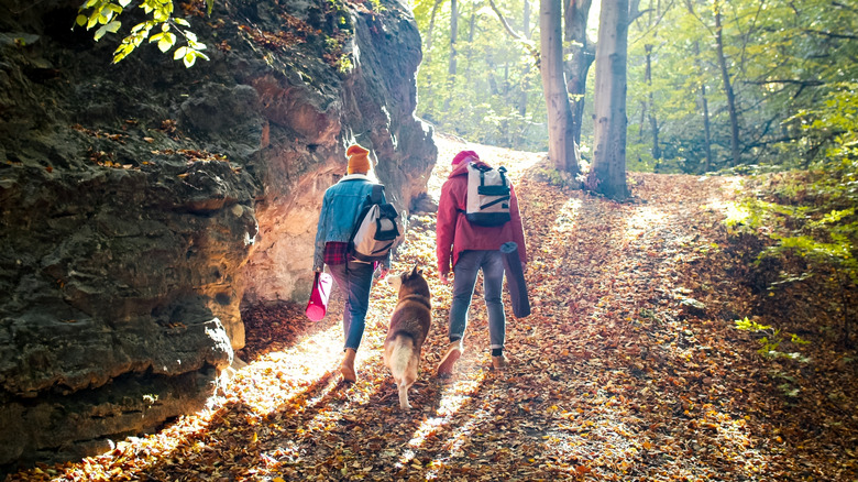 A couple and a dog hiking in the autumn by a stone wall