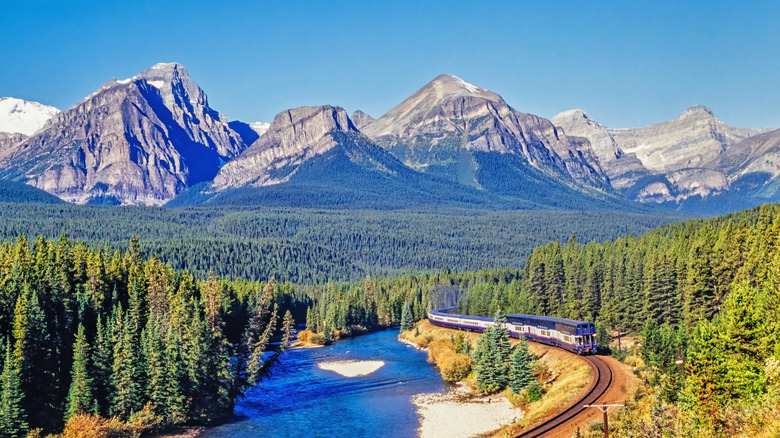 Train going through the forest towards mountains
