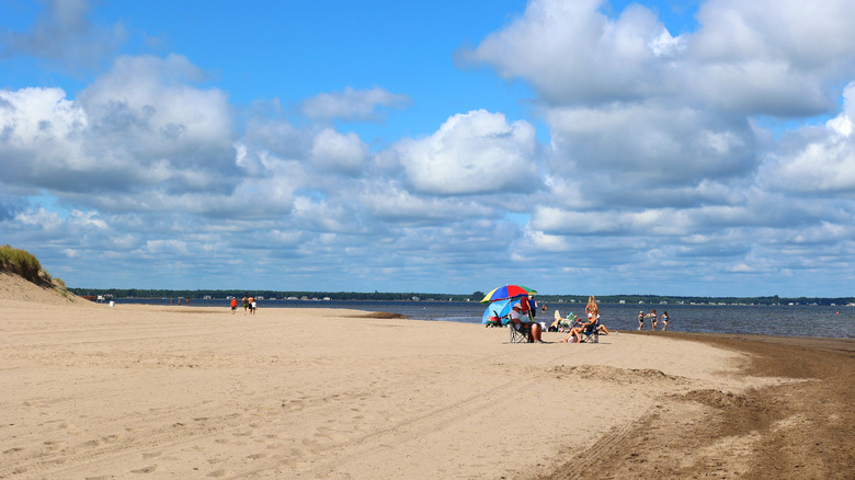 open stretch of sandy beach with a few people