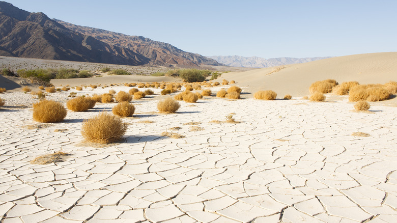 Death Valley National Park stark landscape