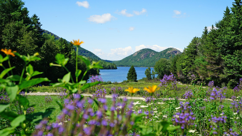 Jordan Pond on Mount Desert Island