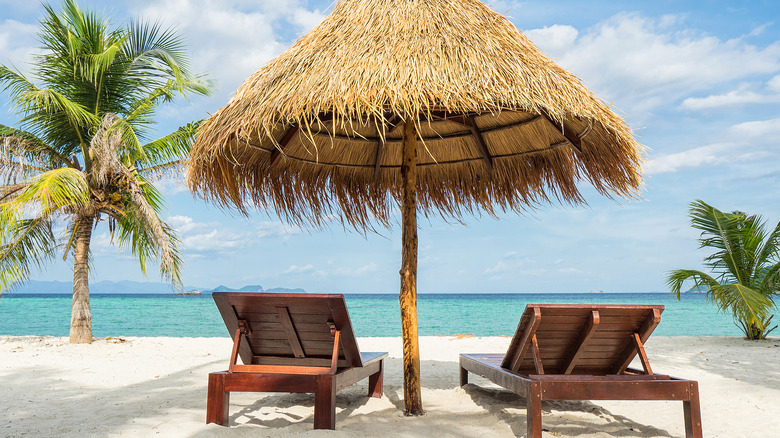 Beach chair in Tropical Beach