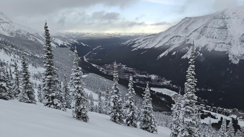 View from Castle Mountain resort slopes