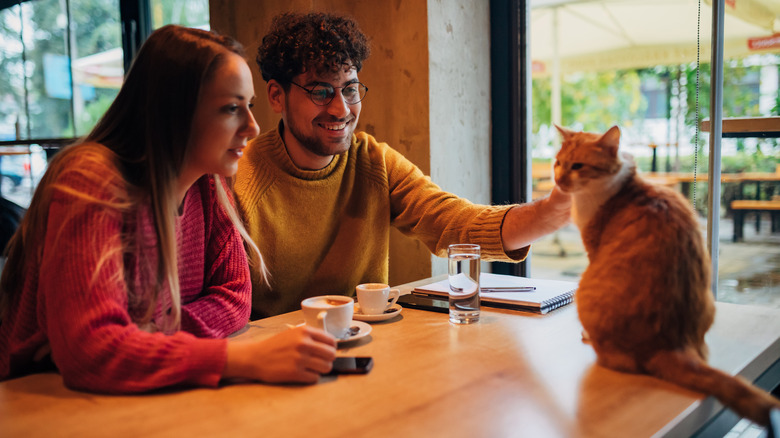 couple with cat at cafe 