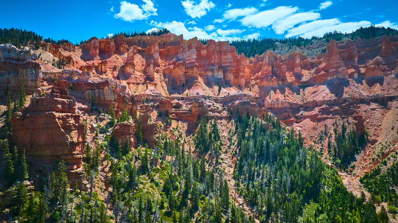 Dixie National Forest landscape, Cedar City, UT