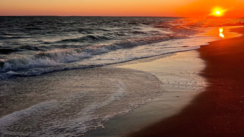 Sunset on Edisto Island beach