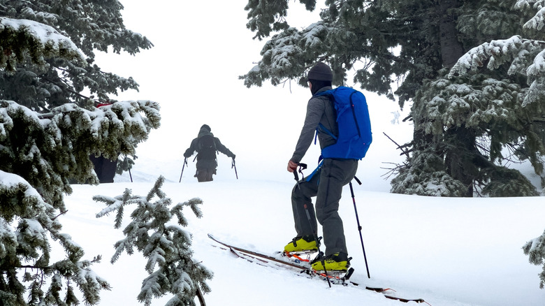 skiiers in backcountry terrain with fresh powder