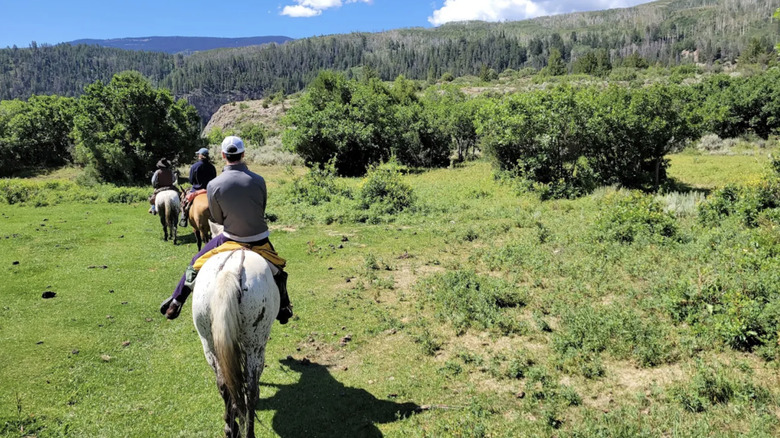 Three people riding horses through a green patch of land, trees in the distance