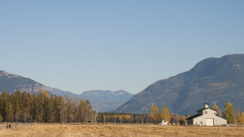 fields with building, trees, and mountains