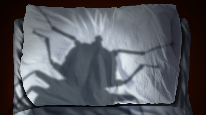bedbug shadow on bed