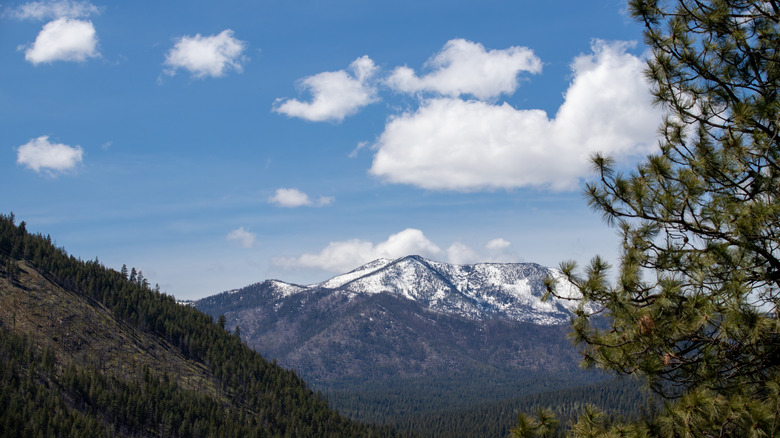 View of Tiffany Mountain outside of Conconully Washington