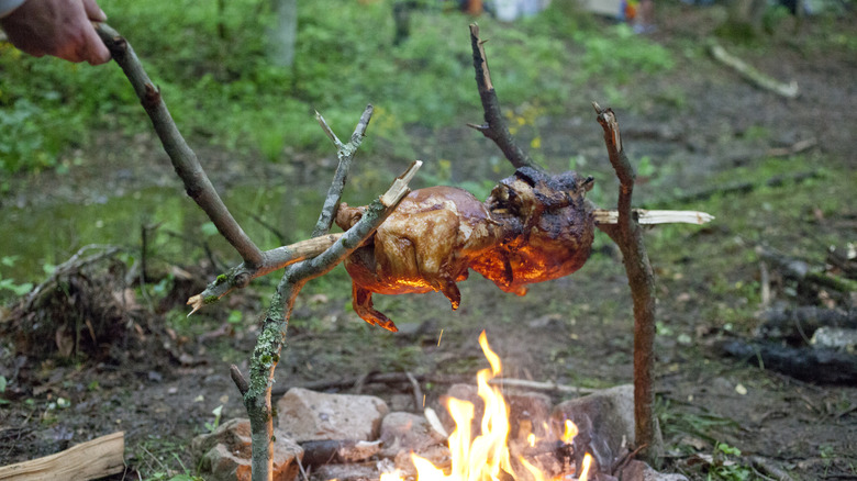 chickens roasting over campfire on spit made with sticks