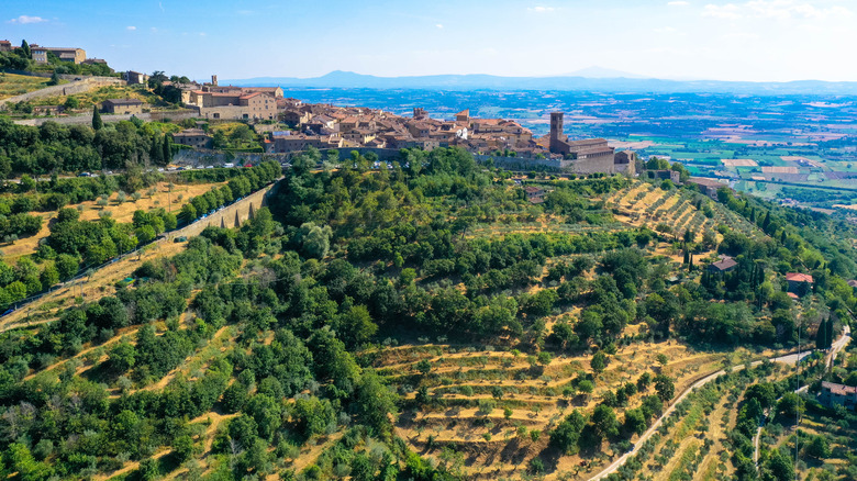 Tuscan countryside around Cortona, Italy