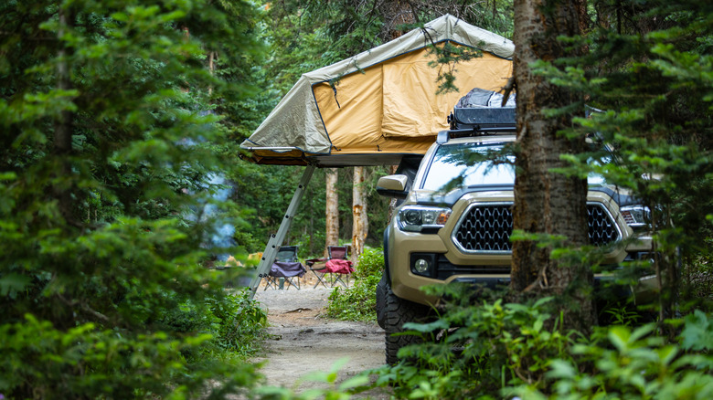 view of pickup truck through woods with overlanding camping setup