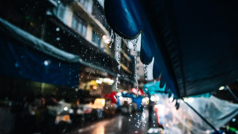 rain in a market in Bangkok
