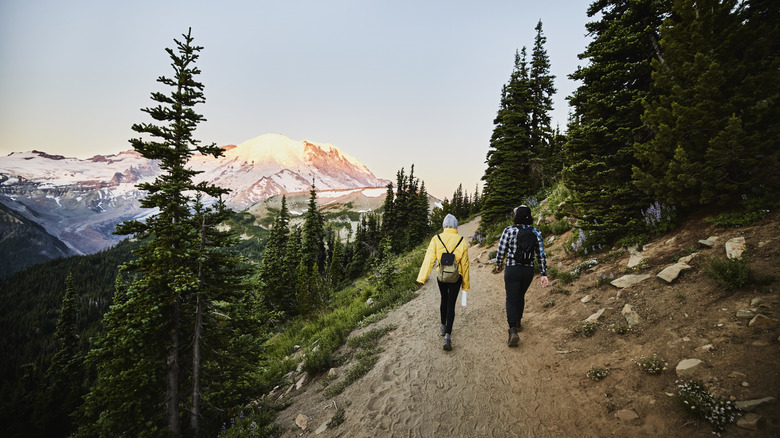 hikers following a mountain trail