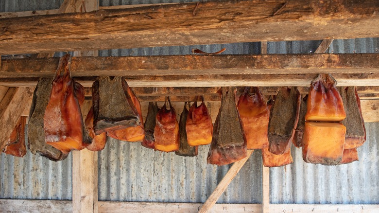 Hakarl (shark) fermenting