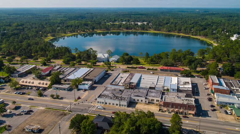 Aerial image of Lake Definiak Springs Florida USA