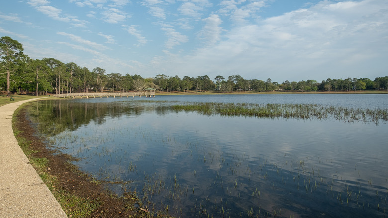 A peaceful view of Lake DeFuniak