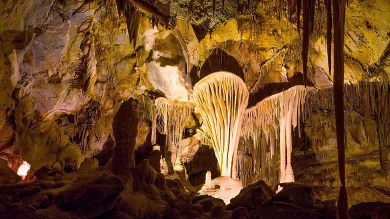 Cave shields in Lehman Caves