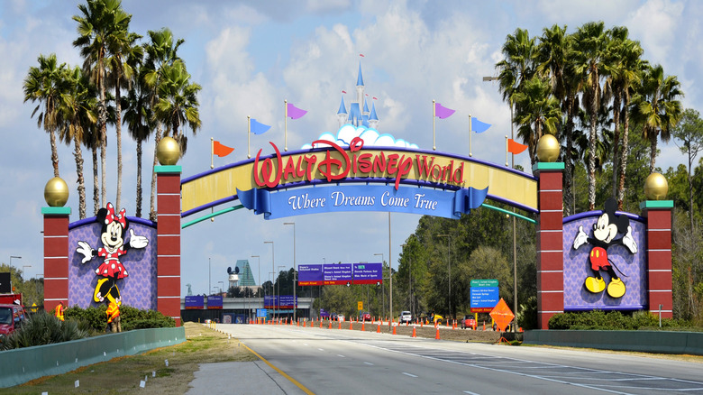 A beautiful view of the Walt Disney World gate.