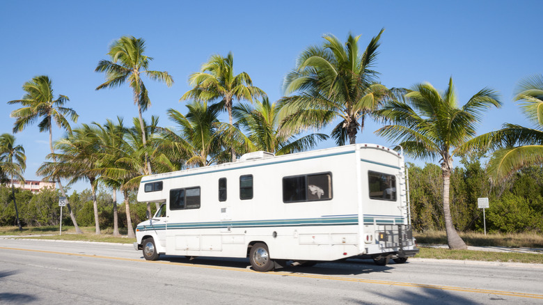 RV Florida road with palm trees