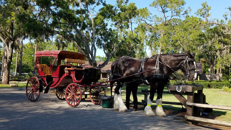 Fort Wilderness horse and carriage trees