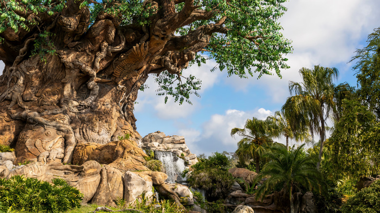 Tree of Life at Disney World