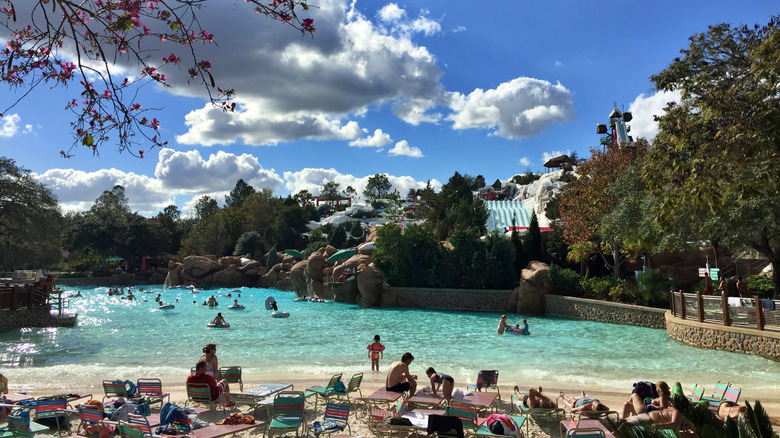 Disney World water park pool leaves
