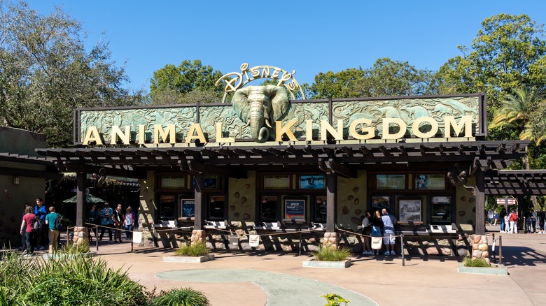 Entrance to Animal Kingdom