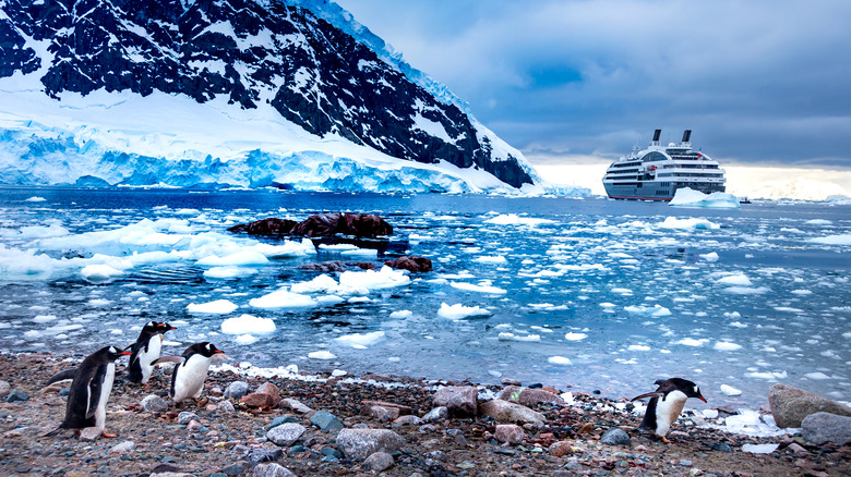 Penguins and expedition ship in Antarctica